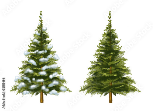 Three Christmas trees isolated. Christmas tree with snow. Hand drawn illustration.