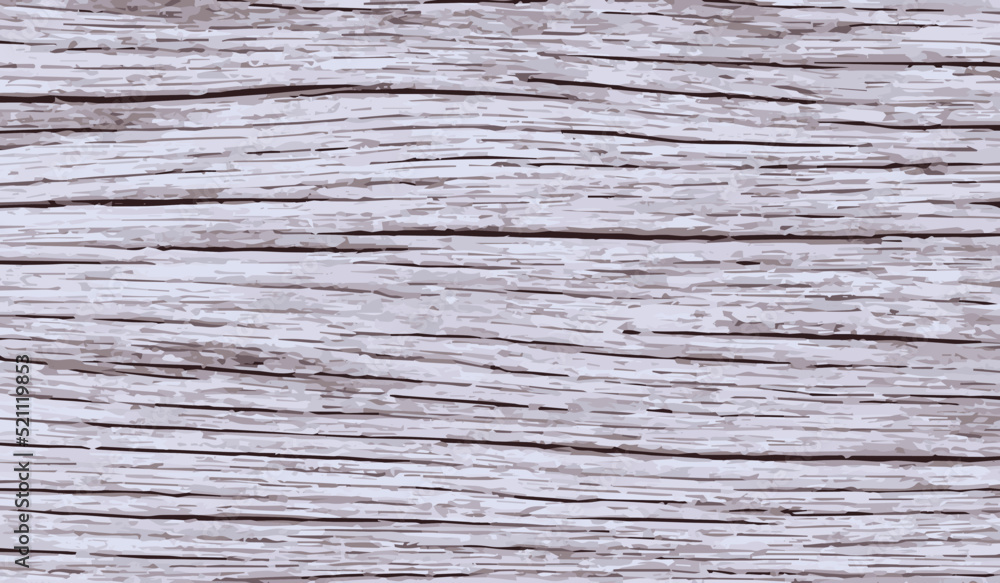 White wood texture vector background , close up wood textured White wood texture vector background , close up wood textured