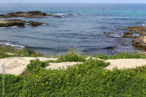 Coast of the Mediterranean Sea in northern Israel.