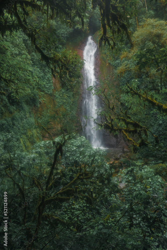 Obraz premium view of a waterfall in the middle of the cloud forest