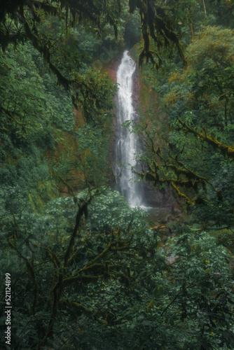 view of a waterfall in the middle of the cloud forest