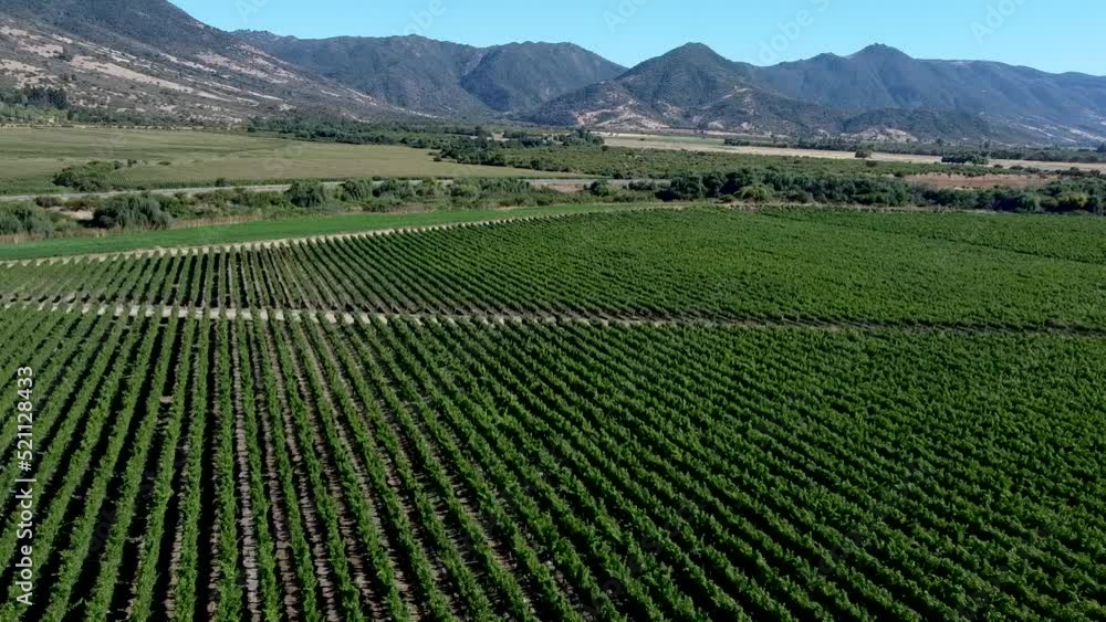 The drone image shows a vineyard in the central region of Chile. The drone image shows a vineyard in the central region of Chile.