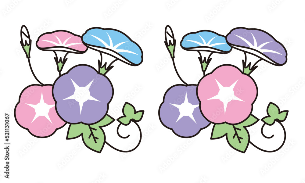朝顔の花と蕾と葉のイラスト素材。 朝顔の花と蕾と葉のイラスト素材。