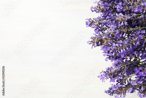 Beautiful lavender flowers on white textured background  space for text