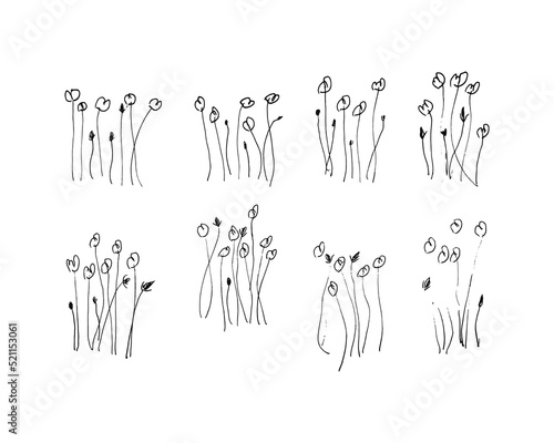 Minimalist Hand Drawn Flower Sketch Illustration, Suitable for Logo, Decoration, Wedding, Poster, Print, Invitation, or Tattoo Design. Contemporary Artwork