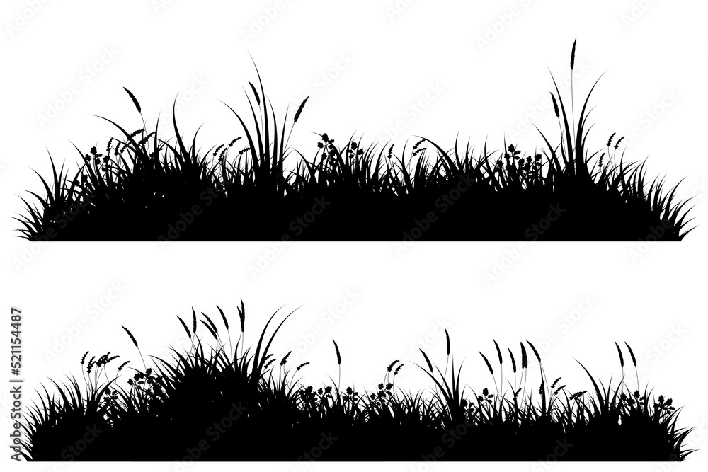 reeds grass silhouette. grassy landscape