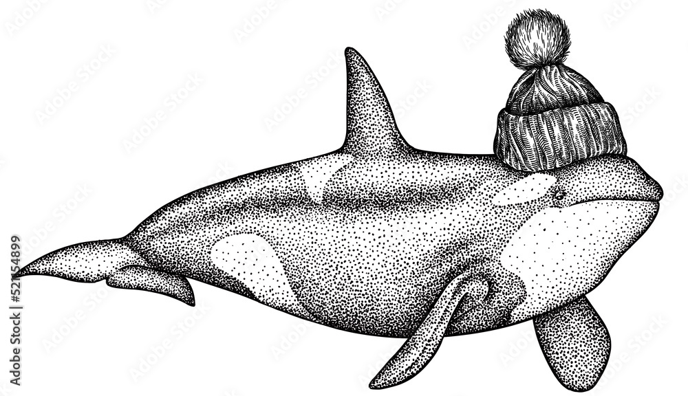 Fototapeta premium Vintage engrave isolated dressed fashion saw fish set illustration costume killer whale ink sketch. Wild new hat sunglasses hipster hammer shark background line glasses dolphin vector art