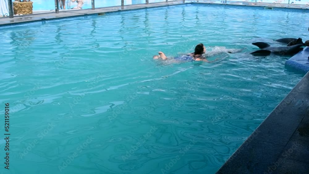 Woman caucasian swimming with dolphins in the pool. Dolphin therapy. Girl holding fins of dolphin. Dolphinarium. Leisure, relaxation entertainment, positive impressions, recreation. Marine sea mammals Woman caucasian swimming with dolphins in the pool. Dolphin therapy. Girl holding fins of dolphin. Dolphinarium. Leisure, relaxation entertainment, positive impressions, recreation. Marine sea mammals