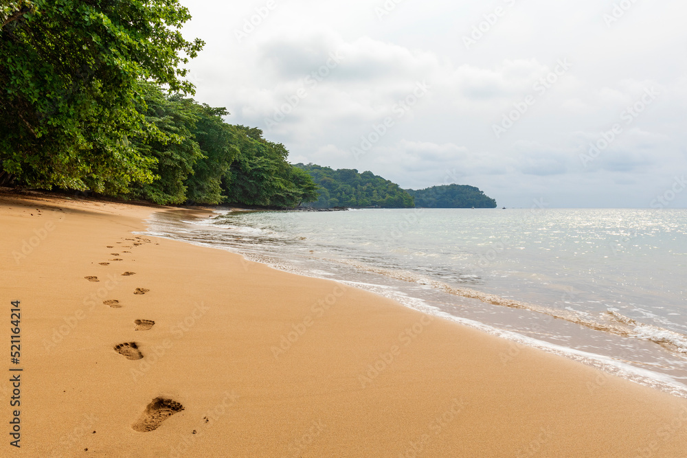 Beautiful empty tree lined beach, with a set of footprints,  along the northern coast of the island of Príncipe.