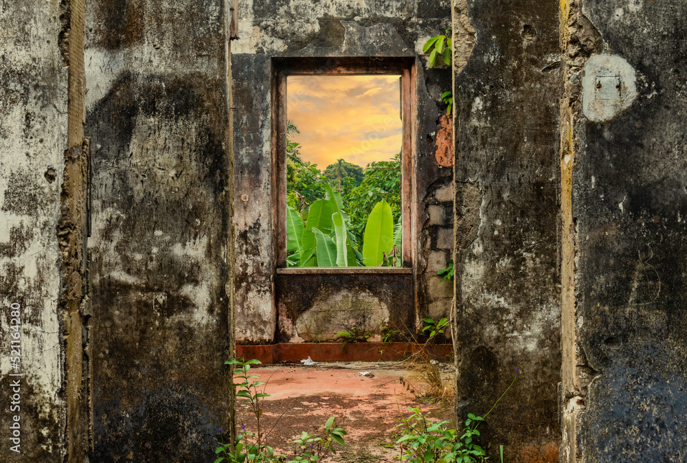 View of the beautiful tropical foliage from the window of an old abandoned hospital on the island of Príncipe.