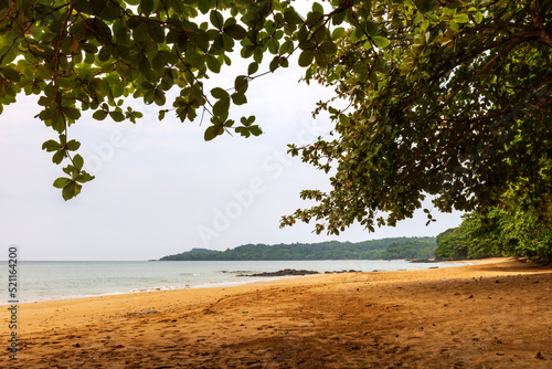 Beautiful empty beach lined by palm trees and trees along the northern coast of the island of Príncipe.