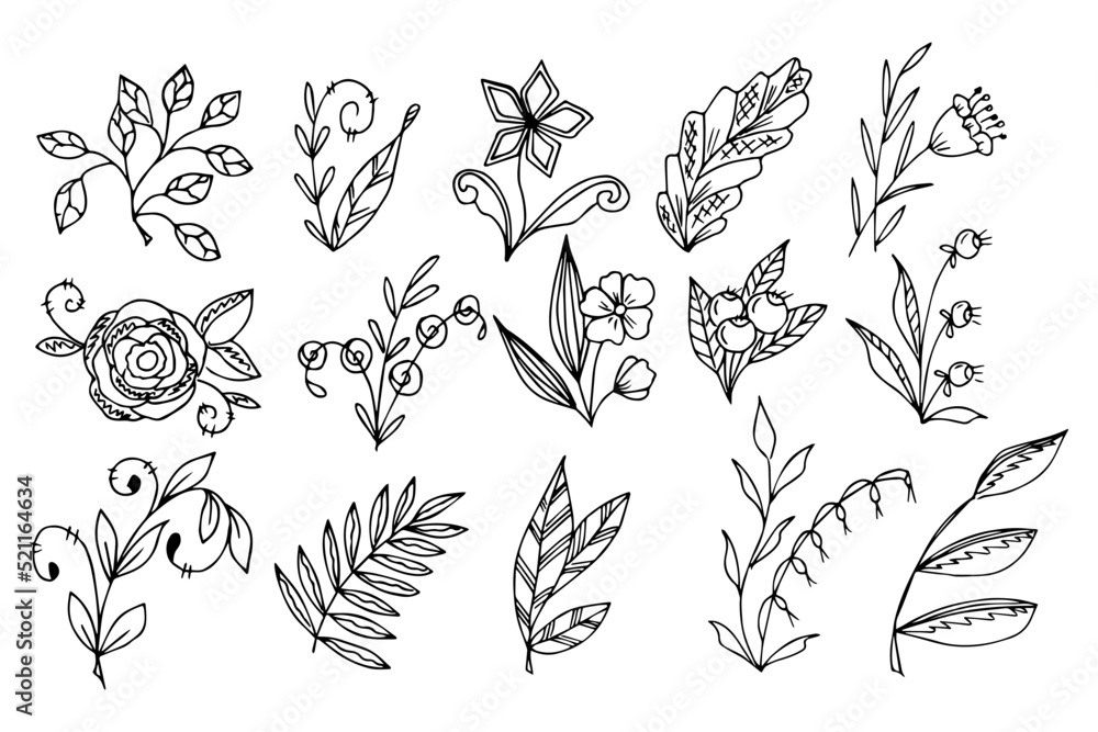 Fototapeta premium set of hand drawn doodle plant elements for floral design concept