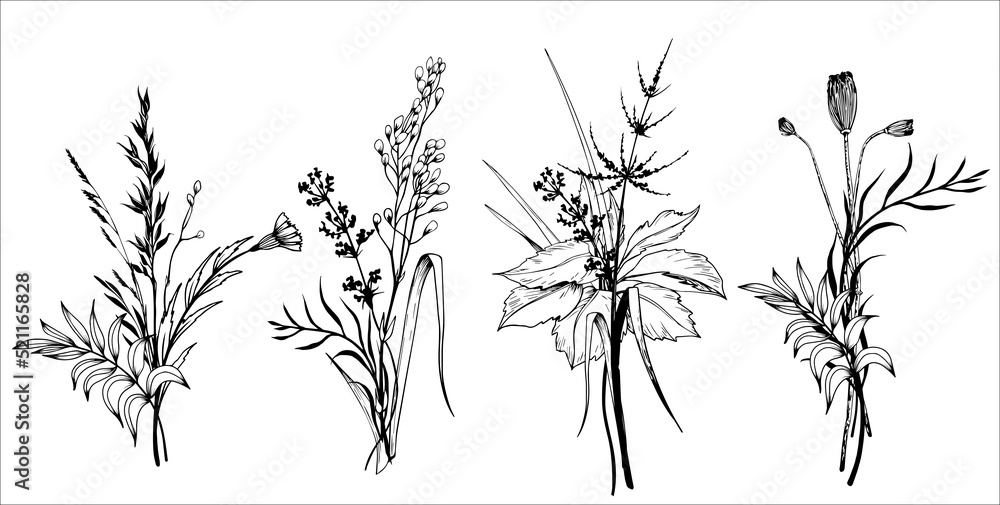 Set of wildflowers bouquets. Hand drawn black and white vector ...