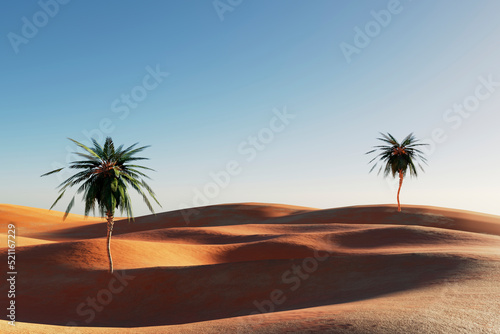 Sunset in a sandy desert, a panorama of the desert with palm trees, 3d rendering