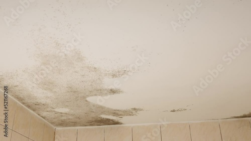 A moving shot from right to left showing fungus in a bathroom