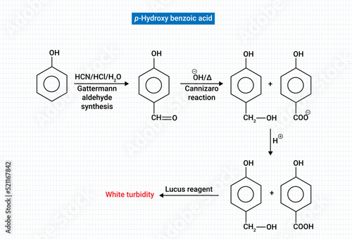 p-hydroxybenzoic acid is a monohydroxybenzoic acid that is benzoic acid carrying a hydroxy substituent at C-4 of the benzene ring.