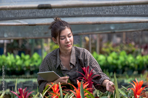 Portrait young Asian female gardener holding taplet and checking Bromelaid flowers in garden, Agriculture business photo