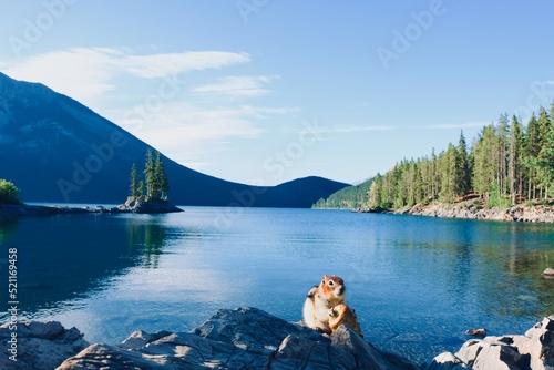 Quadro em tela Lac des Rocheuses, Canada