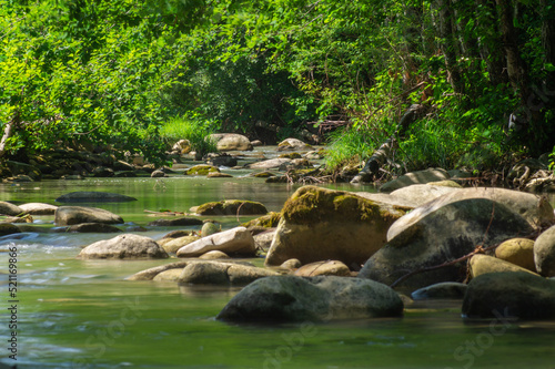 Forest river with big stones