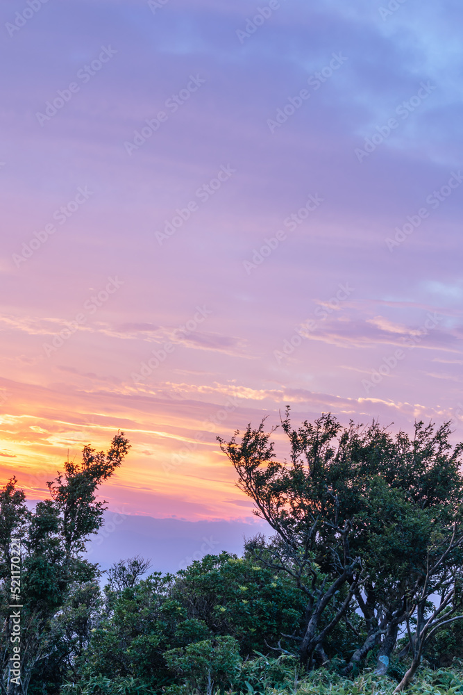 夏の伊豆半島　高原のトレッキングコースから見る夕景