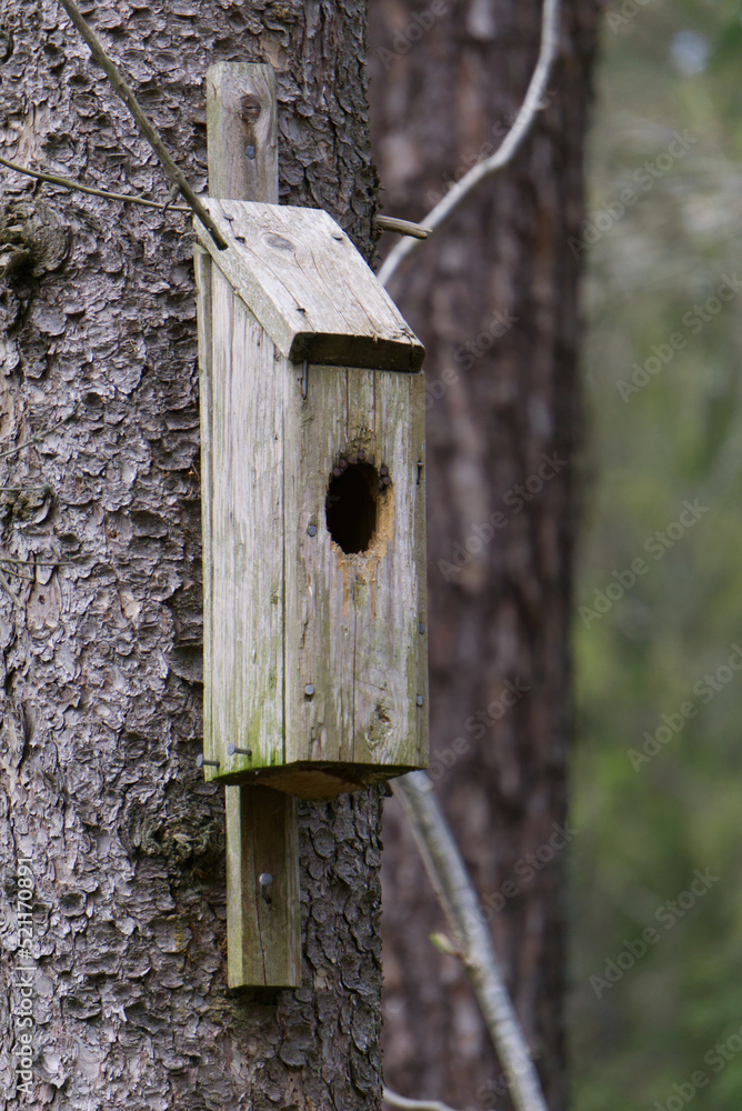 an old small bird house in the forest