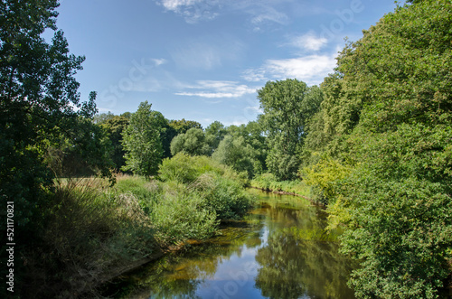 View along the tranquil stream of the river Ems in a lush and green landscape near Münster, Germany, on a summer day