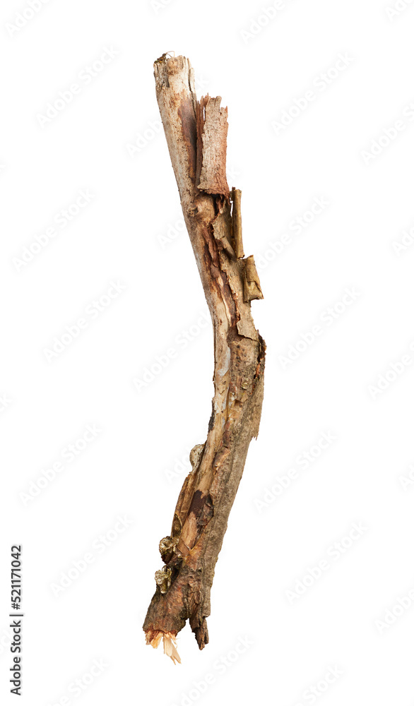 Wooden broken sticks isolated on white background Wooden broken sticks isolated on white background
