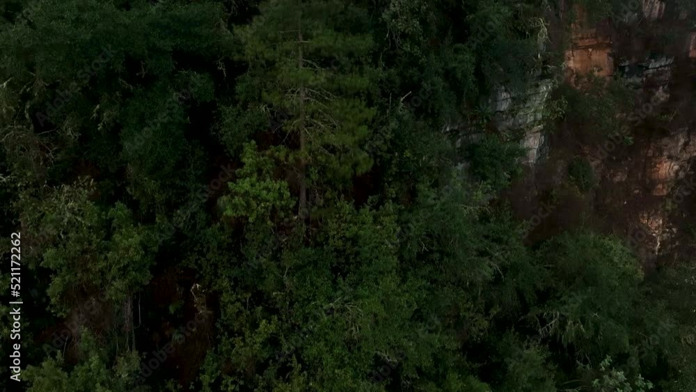 Aerial fly drone view above mountain forest with morning mist Aerial fly drone view above mountain forest with morning mist