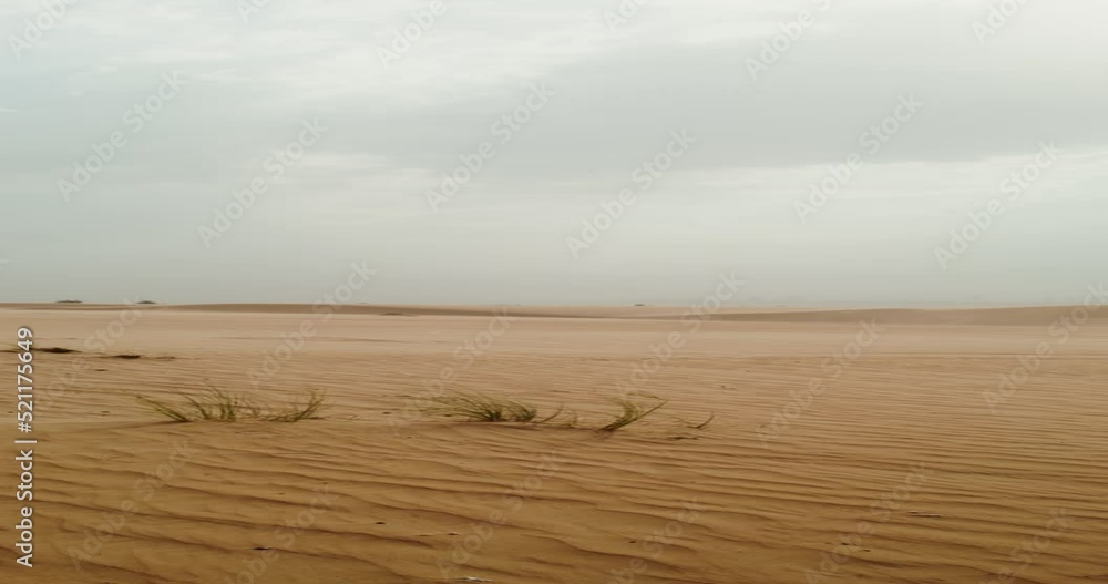Desert with fine yellow sand on a windy day Desert with fine yellow sand on a windy day