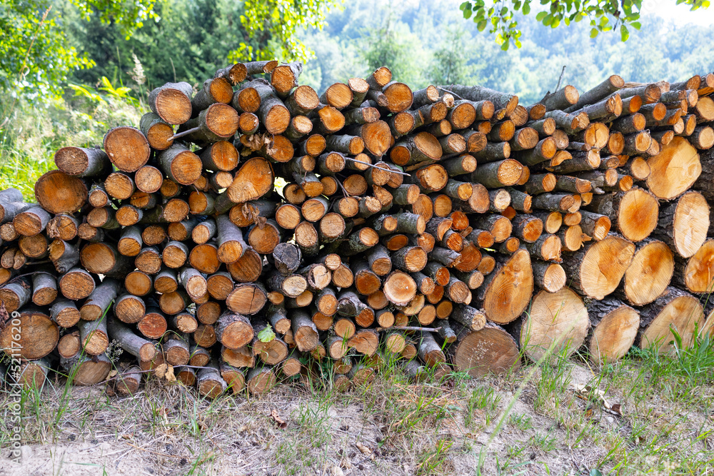 Stock of firewood for heating the house in the forest.