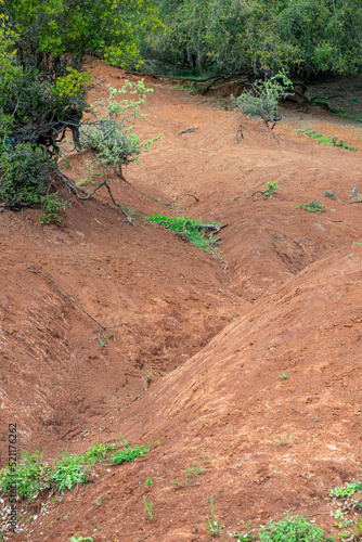 Wallpaper Mural Kokkinopilos (red clay), Preveza Greece, a unique geological phenomenon. Torontodigital.ca