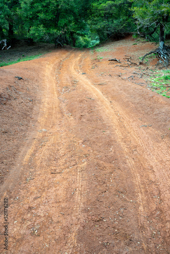 Wallpaper Mural Dirt road in Kokkinopilos (red clay), Preveza Greece, a unique geological phenomenon. Torontodigital.ca