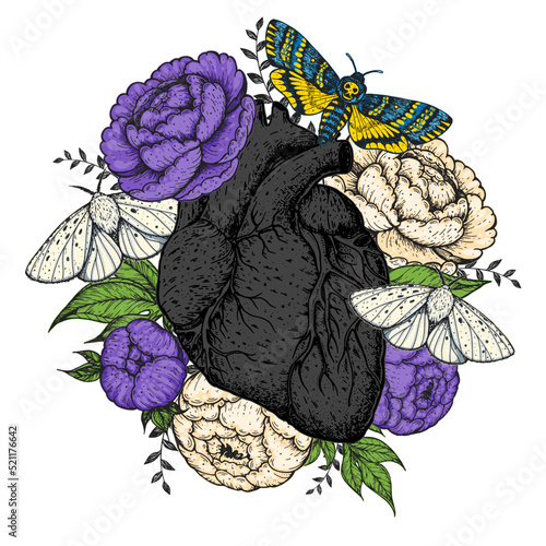 Heart, butterfly and flower hand drawn. Vintage vector illustration. Anatomical floral heart. Isolated colorful illustration. Vintage print.