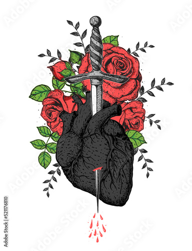 The human heart and roses is pierced with a dagger. Hand drawn vector illustration. Colorful illustration . Tattoo print.