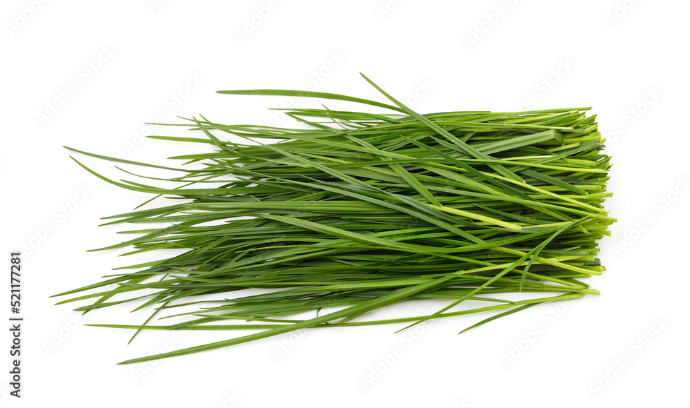 Bunch of green grass. Bunch of green grass.