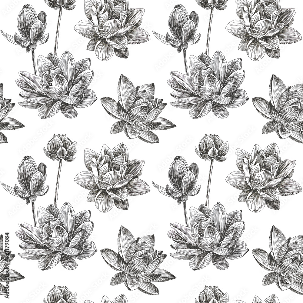 Hand drawn lotus flowers Seamless pattern. Black lines on a White background. For fabric, sketchbook, wallpaper, wrapping paper. Hand drawn lotus flowers Seamless pattern. Black lines on a White background. For fabric, sketchbook, wallpaper, wrapping paper.