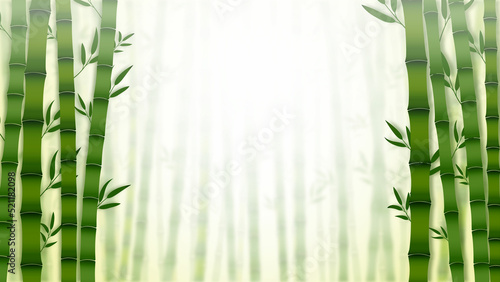 bamboo background with bamboo