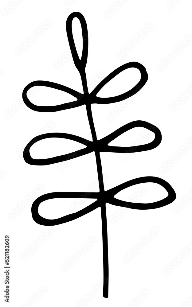 Vector doodles of a leaf, a branch, an inflorescence, a black-and-white drawing, a sketch. Vector doodles of a leaf, a branch, an inflorescence, a black-and-white drawing, a sketch.