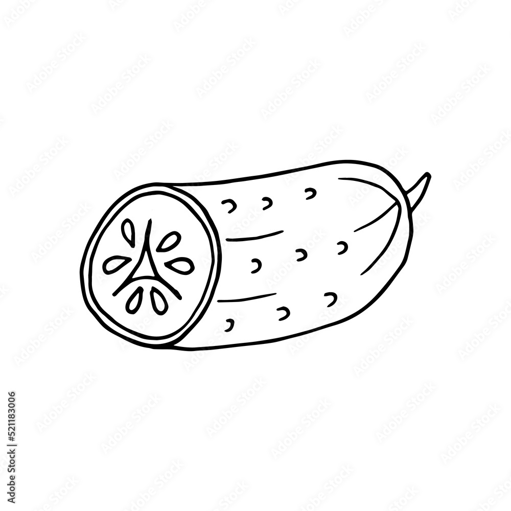 cucumber in doodle style cucumber in doodle style