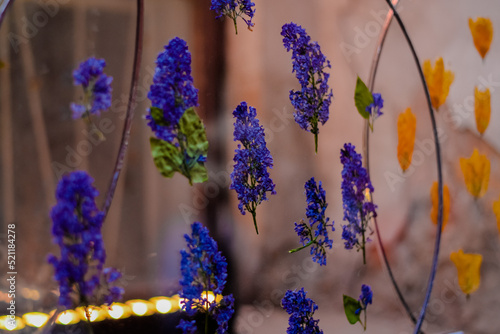 
Dried purple flowers