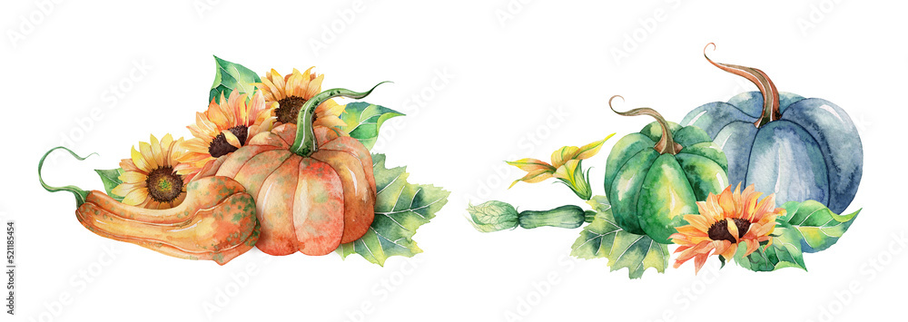 Fototapeta premium Harvest, thanksgiving day watercolor illustrations Pumpkins and sunflower flowers autumn compositions in vintage style.