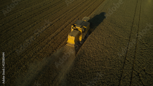 Combine harvester collecting wheat on a field. Aerial view from drone -sunset. 