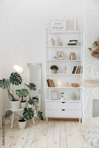 Shelving with books and decor near the fireplace and potted plants in a modern stylish living room. Nobody