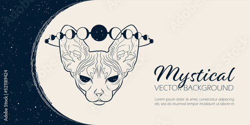 Mysterious banner with sphinx cat and moon. Vector background for landing page, web design. Astrology, fortune telling, tarot reading concept. Book cover, poster. Animal spirit art
