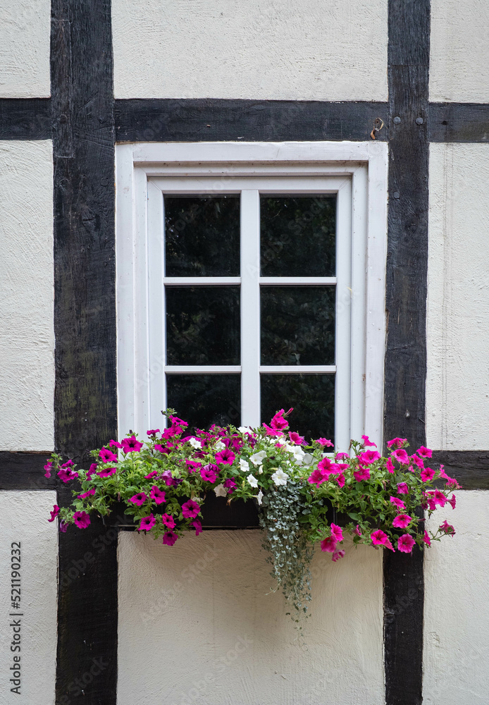 flowerpot on wall of old  timber framing house
