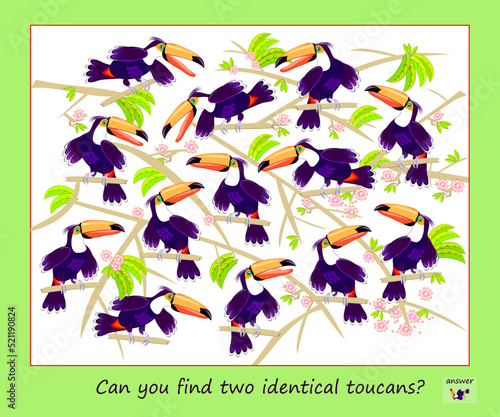 Logic puzzle game for children and adults. Can you find two identical toucans? Page for kids brain teaser book. Task for attentiveness.  IQ test. Play online. Vector cartoon illustration.