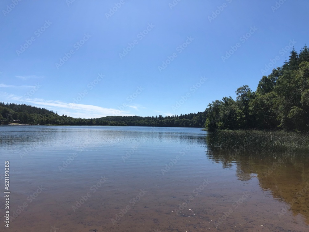 lake in the forest