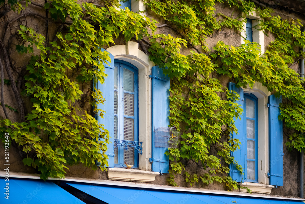 Facade of an old house in Goudargues Cèze valley in Provence overgrown with bright green wine tendrils. Typical architecture of southern France on a sunny summer evening. Windows with blue shutters.