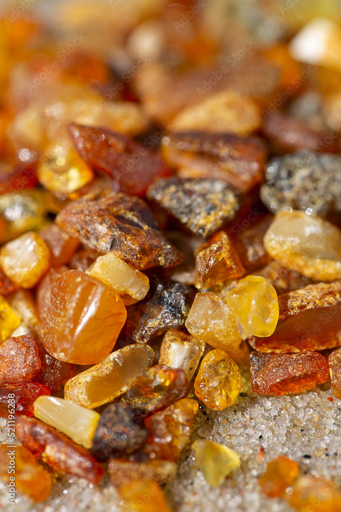 pieces of amber (Lithuanian gold) lying on beach pieces of amber (Lithuanian gold) lying on beach