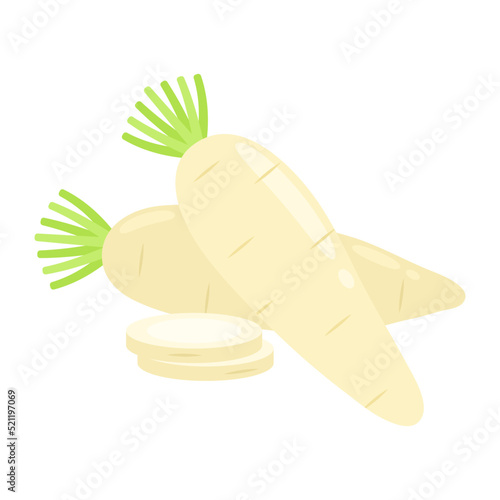 Japanese daikon radish and slices isolated on white background. Raphanus sativus var. longipinnatus, horseradish, mooli or long white radish icon. Vector vegetables illustration in flat style.